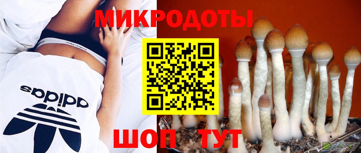Псилоцибиновые грибы Psilocybe Нефтекамск
